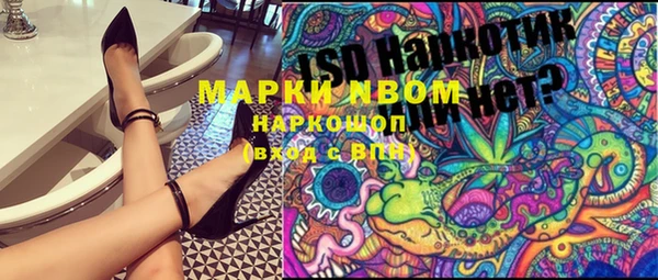 крисы Липки